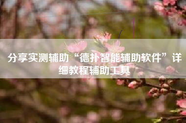 分享实测辅助“德扑智能辅助软件”详细教程辅助工具