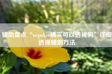 辅助盘点“wepoker确实可以透视的”详细透视辅助方法