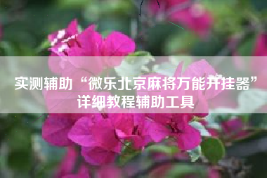 实测辅助“微乐北京麻将万能开挂器	”详细教程辅助工具