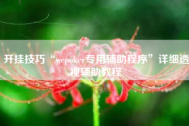 开挂技巧“wepoker专用辅助程序	”详细透视辅助教程