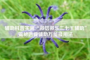 辅助科普实测“微信微乐二七王辅助”揭秘透视辅助万能挂用法