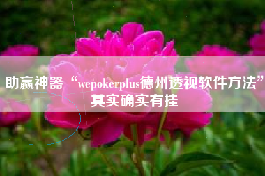 助赢神器“wepokerplus德州透视软件方法”其实确实有挂