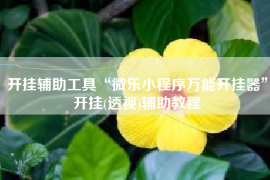 开挂辅助工具“微乐小程序万能开挂器”开挂(透视)辅助教程