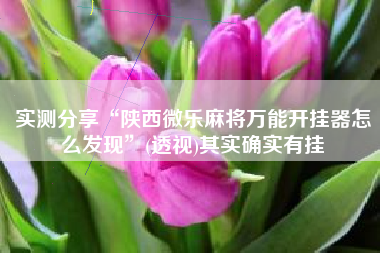 实测分享“陕西微乐麻将万能开挂器怎么发现	”(透视)其实确实有挂