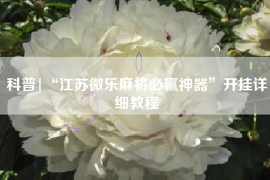 科普|“江苏微乐麻将必赢神器	”开挂详细教程