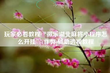 玩家必看教程“微乐湖北麻将小程序怎么开挂	”(作弊)辅助透视教程