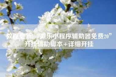 教程更新!“微乐小程序辅助器免费20	”开挂辅助脚本+详细开挂