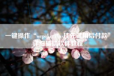 一键操作“wepokerPlus挂先试用后付款”详细辅助软件教程
