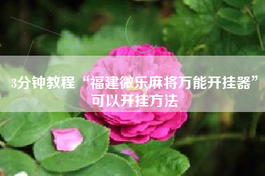 3分钟教程“福建微乐麻将万能开挂器”可以开挂方法