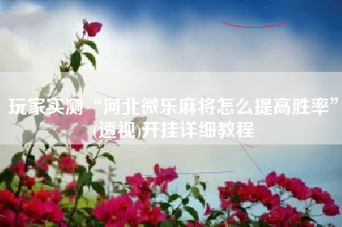 玩家实测“河北微乐麻将怎么提高胜率”(透视)开挂详细教程