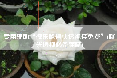 专用辅助“微乐跑得快透视挂免费	”(曝光透视必备猫腻)