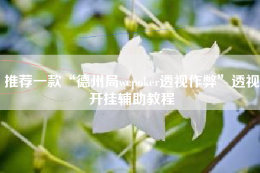 推荐一款“德州局wepoker透视作弊”透视开挂辅助教程