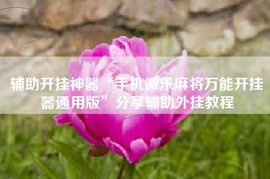 辅助开挂神器“手机微乐麻将万能开挂器通用版”分享辅助外挂教程