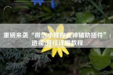 重磅来袭“微信小程序雀神辅助插件	”(透视)开挂详细教程