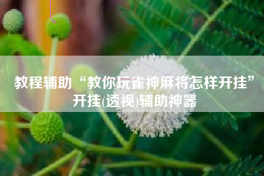教程辅助“教你玩雀神麻将怎样开挂”开挂(透视)辅助神器