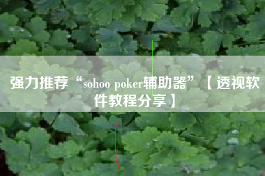 强力推荐“sohoo poker辅助器	”【透视软件教程分享】