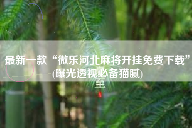 最新一款“微乐河北麻将开挂免费下载”(曝光透视必备猫腻)