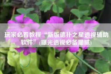 玩家必看教程“新版德扑之星透视辅助软件	”(曝光透视必备猫腻)