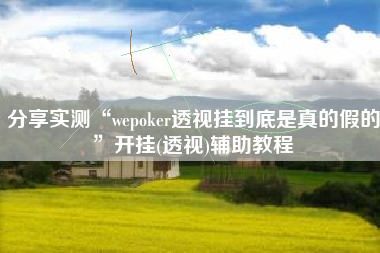 分享实测“wepoker透视挂到底是真的假的	”开挂(透视)辅助教程