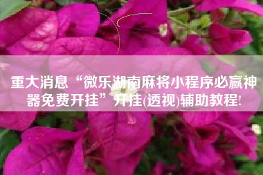 重大消息“微乐湖南麻将小程序必赢神器免费开挂	”开挂(透视)辅助教程!