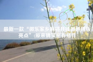 最新一款“微乐家乡麻将开挂器通用版亮点”(原来确实是有插件