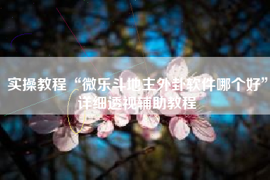 实操教程“微乐斗地主外卦软件哪个好”详细透视辅助教程