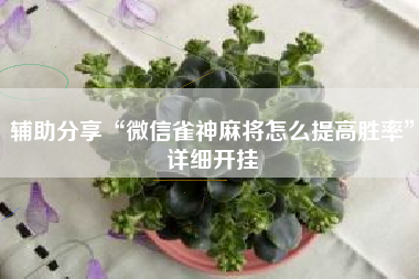 辅助分享“微信雀神麻将怎么提高胜率	”详细开挂