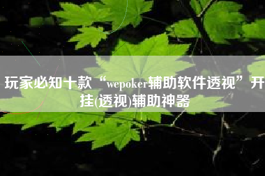 玩家必知十款“wepoker辅助软件透视	”开挂(透视)辅助神器