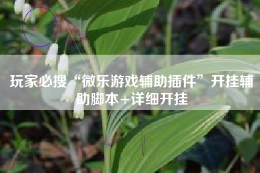 玩家必搜“微乐游戏辅助插件”开挂辅助脚本+详细开挂