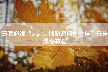 玩家必读“wepoker辅助透视作弊挂”开挂详细教程