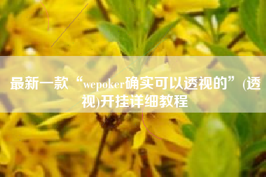 最新一款“wepoker确实可以透视的	”(透视)开挂详细教程