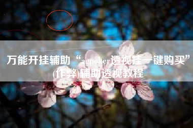 万能开挂辅助“agpoker透视挂一键购买”(作弊)辅助透视教程