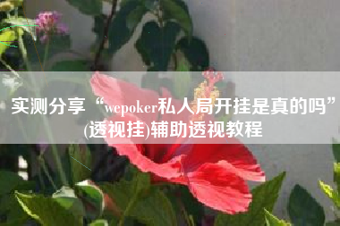 实测分享“wepoker私人局开挂是真的吗	”(透视挂)辅助透视教程