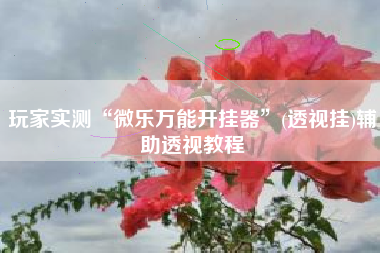 玩家实测“微乐万能开挂器	”(透视挂)辅助透视教程