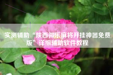 实测辅助“陕西微乐麻将开挂神器免费版”详细辅助软件教程