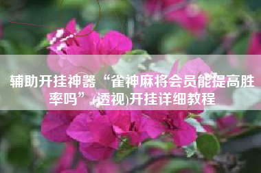 辅助开挂神器“雀神麻将会员能提高胜率吗”(透视)开挂详细教程