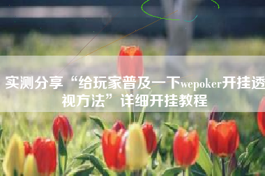 实测分享“给玩家普及一下wepoker开挂透视方法”详细开挂教程