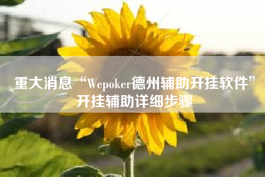 重大消息“Wepoker德州辅助开挂软件	”开挂辅助详细步骤