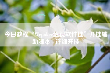 今日教程“Wepoker透视软件挂”开挂辅助脚本+详细开挂