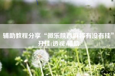 辅助教程分享“微乐陕西麻将有没有挂”开挂(透视)辅助