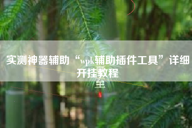 实测神器辅助“wpk辅助插件工具”详细开挂教程