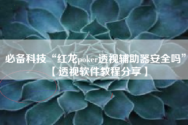 必备科技“红龙poker透视辅助器安全吗	”【透视软件教程分享】