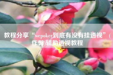 教程分享“wepoker到底有没有挂透视”(作弊)辅助透视教程