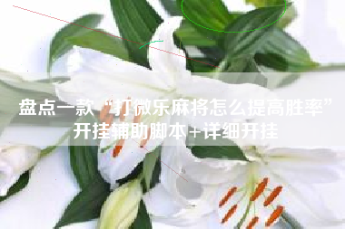 盘点一款“打微乐麻将怎么提高胜率	”开挂辅助脚本+详细开挂