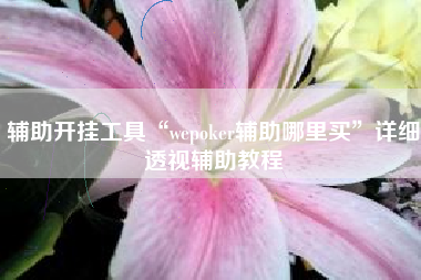 辅助开挂工具“wepoker辅助哪里买”详细透视辅助教程