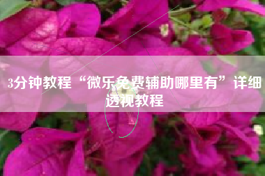3分钟教程“微乐免费辅助哪里有	”详细透视教程