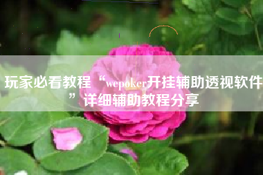 玩家必看教程“wepoker开挂辅助透视软件	”详细辅助教程分享