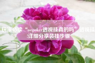 玩家必读“wepoker透视挂真的吗”透视挂!详细分享装挂步骤
