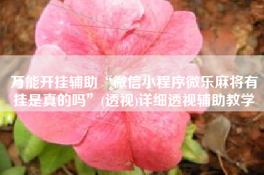 万能开挂辅助“微信小程序微乐麻将有挂是真的吗”(透视)详细透视辅助教学