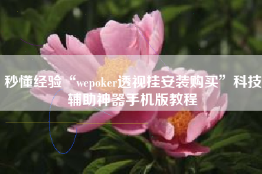 秒懂经验“wepoker透视挂安装购买”科技辅助神器手机版教程